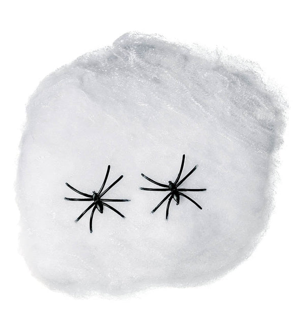 Spinnenweb 40gr van Fiestas Guirca koop je bij Partywinkel