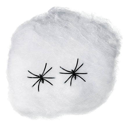 Spinnenweb 500gr van Fiestas Guirca koop je bij Partywinkel