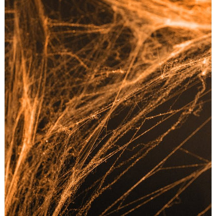 Spinnenweb Oranje met 2 Spinnen 60gr van Partydeco koop je bij Partywinkel