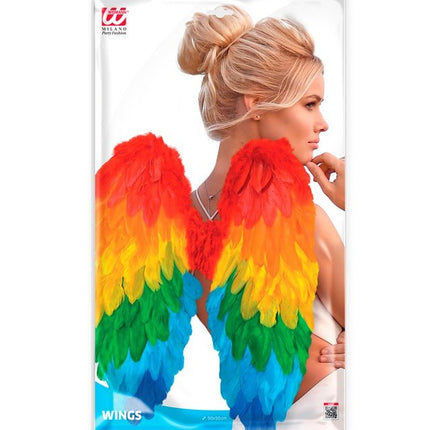 VEREN VLEUGELS REGENBOOG OPVOUWBAAR 50 X 50 CM van Widmann koop je bij Partywinkel