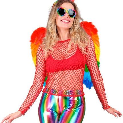 VEREN VLEUGELS REGENBOOG OPVOUWBAAR 50 X 50 CM van Widmann koop je bij Partywinkel