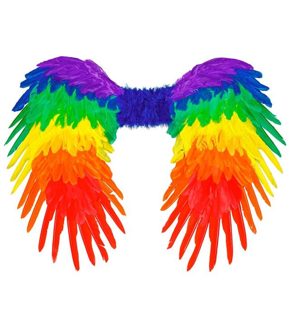 Veren Vleugels Regenboog Opvouwbaar 80X60 cm van Widmann koop je bij Partywinkel