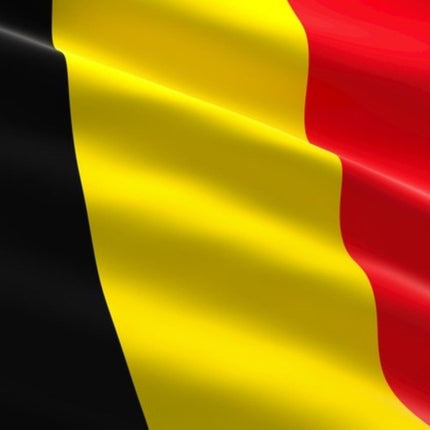 Vlag Belgie 150cm van Partychimp koop je bij Partywinkel