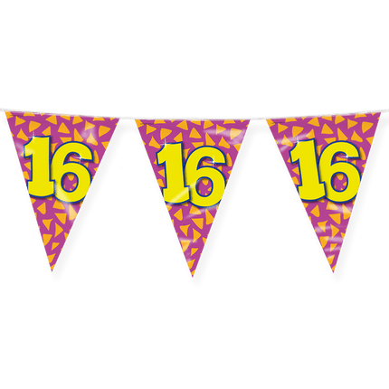 Vlaggenlijn 16 Jaar Gekleurd 10m van Paper Dreams koop je bij Partywinkel