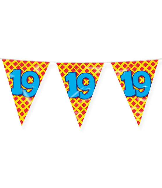 Vlaggenlijn 19 Jaar Gekleurd 10m van Paper Dreams koop je bij Partywinkel