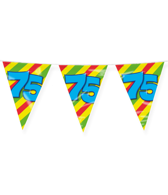 Vlaggenlijn 75 Jaar Gekleurd 10m van Paper Dreams koop je bij Partywinkel