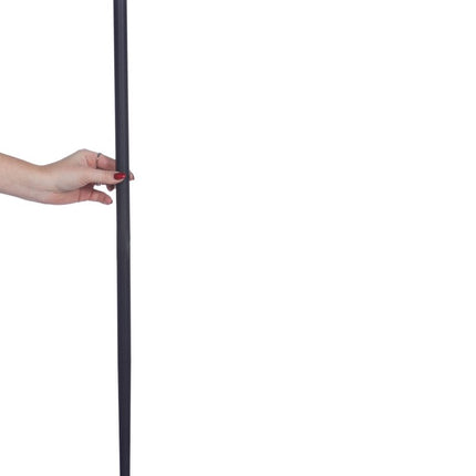 Zwart Zilveren Wandelstok van Wilbers & Wilbers koop je bij Partywinkel