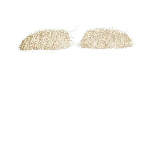 Wenkbrauwen Sint deluxe Yak van Haza Witbaard koop je bij Partywinkel