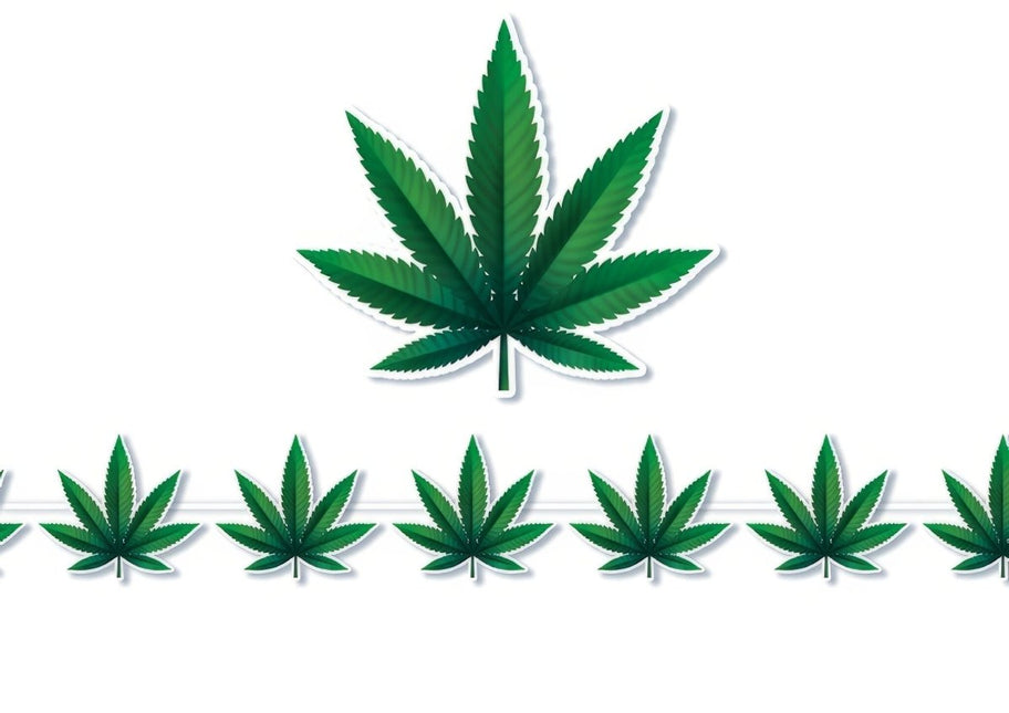 Wiet Slinger 3m van Fiestas Guirca koop je bij Partywinkel