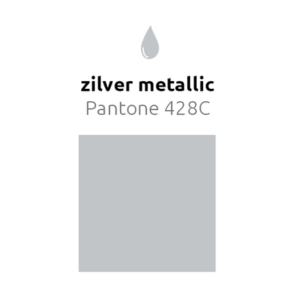 Zilveren Ballonnen Metallic 25cm 10st van Balloonia koop je bij Partywinkel