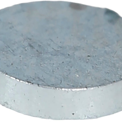 Zilveren Oorbellen 2st van Fiestas Guirca koop je bij Partywinkel