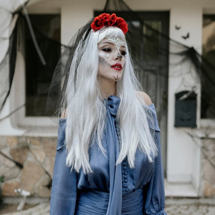 Zilveren Pruik Lang Haar van Partydeco koop je bij Partywinkel